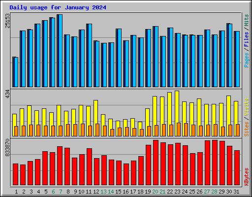 Daily usage for January 2024