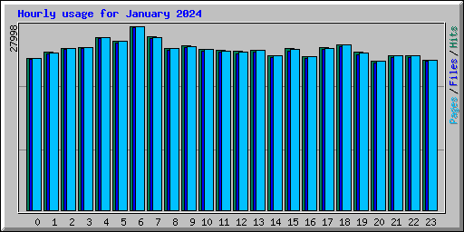 Hourly usage for January 2024