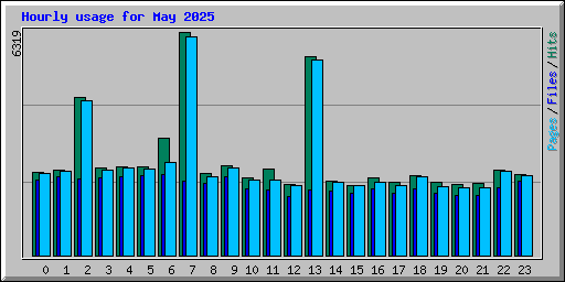 Hourly usage for May 2025