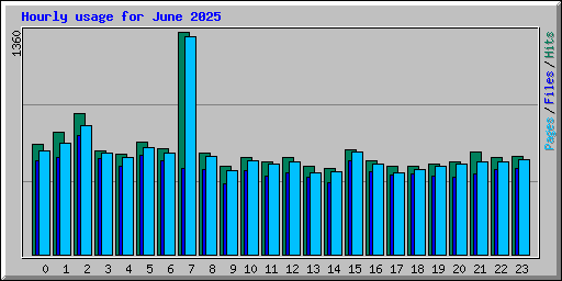 Hourly usage for June 2025