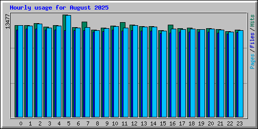 Hourly usage for August 2025
