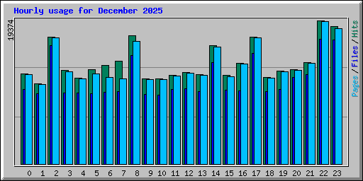 Hourly usage for December 2025