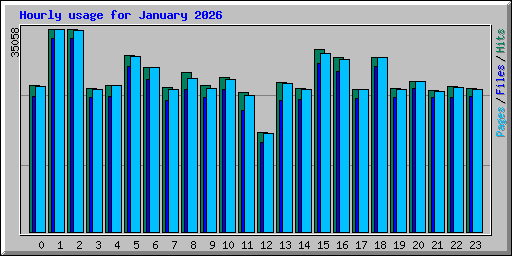 Hourly usage for January 2026