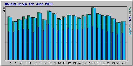 Hourly usage for June 2026