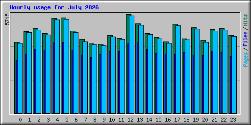 Hourly usage for July 2026