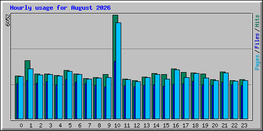 Hourly usage for August 2026